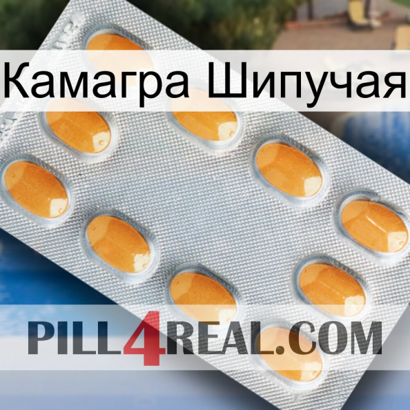 Камагра Шипучая cialis3.jpg